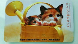 ひとりで悩まないで